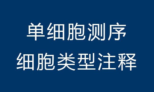 單細(xì)胞測序 | 細(xì)胞類型注釋