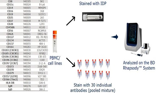 伯豪生物 AbSeq Panel 助力單細(xì)胞多組學(xué)研究