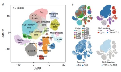 免疫治療 | 單細(xì)胞測(cè)序技術(shù)加速藥物研發(fā)！