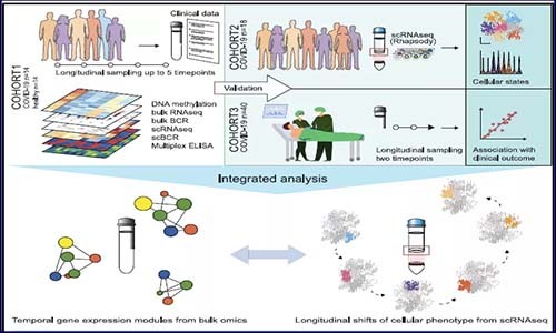 多組學(xué)分析 |COVID-19 患者巨核細(xì)胞、紅細(xì)胞以及漿母細(xì)胞特征！