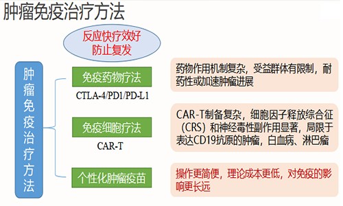 全外顯子組測(cè)序 & 轉(zhuǎn)錄組測(cè)序聯(lián)合助力腫瘤免疫治療