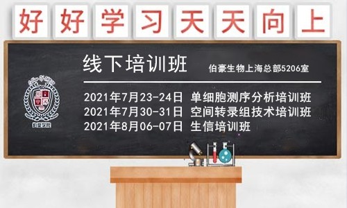 重磅！暑期系列培訓(xùn)班開課通知，6 月報(bào)名可享優(yōu)惠！