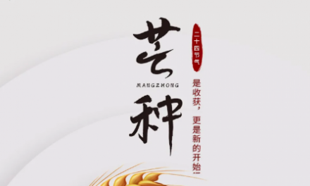 芒種 | 是收獲，更是新的開始！