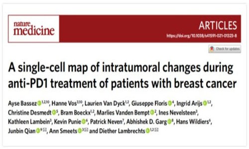 Nature | 乳腺癌免疫治療反應(yīng)機(jī)制及預(yù)測(cè)治療新方法
