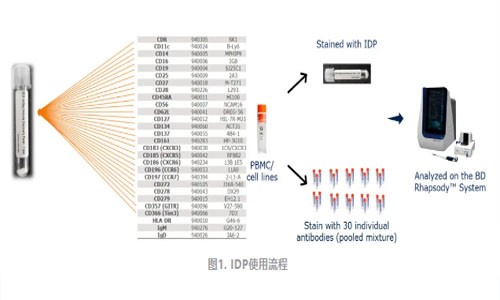 伯豪生物 | AbSeq Panel 助力單細(xì)胞多組學(xué)研究