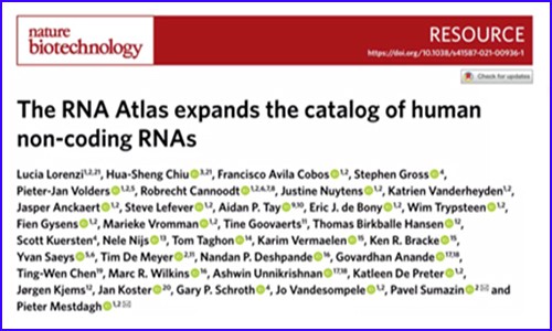 更全面的人類轉(zhuǎn)錄組圖譜 | 基于 300 種人類細(xì)胞和組織類型繪制，非編碼 RNA 數(shù)量增加 8%