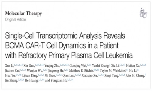 文獻(xiàn)解讀 | 單細(xì)胞轉(zhuǎn)錄組分析抗 BCMA CAR- T 細(xì)胞對(duì)白血病患者治療作用