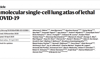 文獻(xiàn)解讀 |COVID-19 肺單細(xì)胞圖譜構(gòu)建