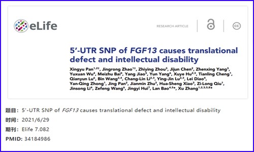 項目新文 | 全基因組測序技術(shù)揭示智力障礙致病性新突變位點的作用機制