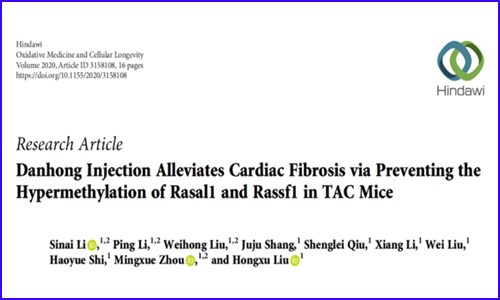 甲基化項(xiàng)目新文 | 丹紅注射液可抑制 Rasal1 和 Rassf1 基因的高甲基化緩解心肌纖維化