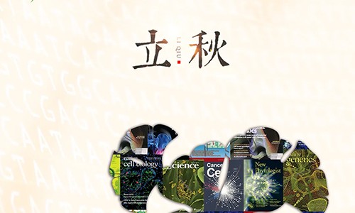 立秋 | 科研服務不期而遇