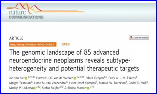 Nature Communications | 大規(guī)模晚期神經(jīng)內(nèi)分泌腫瘤全基因組測序揭示亞群異質(zhì)性和潛在治療靶點