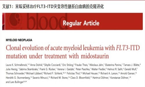 文章解讀 |Blood（IF 22.112）：急性髓系白血病的克隆演化研究