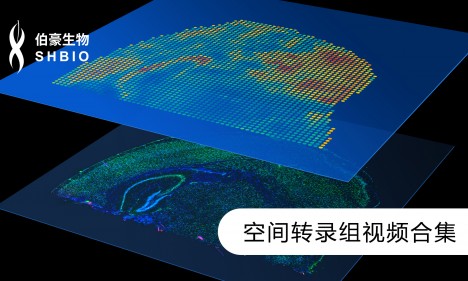 視頻合集 | 空間轉(zhuǎn)錄組