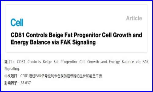 發(fā)育生物學(xué) | 單細胞測序解析米色脂肪的發(fā)育