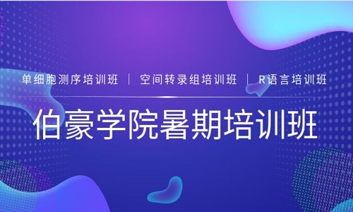 伯豪學(xué)院 |2021 暑期培訓(xùn)班圓滿(mǎn)收官！