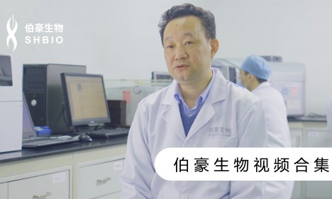 視頻合集 | 伯豪生物
