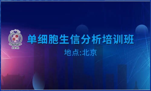 培訓(xùn)班報名 | 單細(xì)胞生信分析線下培訓(xùn)班火熱報名中！