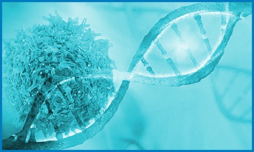 Nature Genetics | 發(fā)表乳腺癌單細(xì)胞空間分辨圖譜，鑒定與細(xì)胞異質(zhì)性和預(yù)后相關(guān)的九種亞型