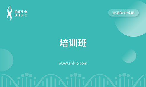 視頻合集 | 培訓班