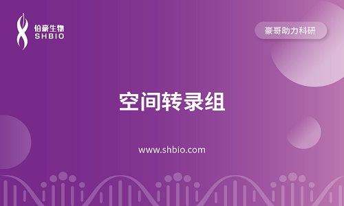 視頻合集 | 空間轉(zhuǎn)錄組