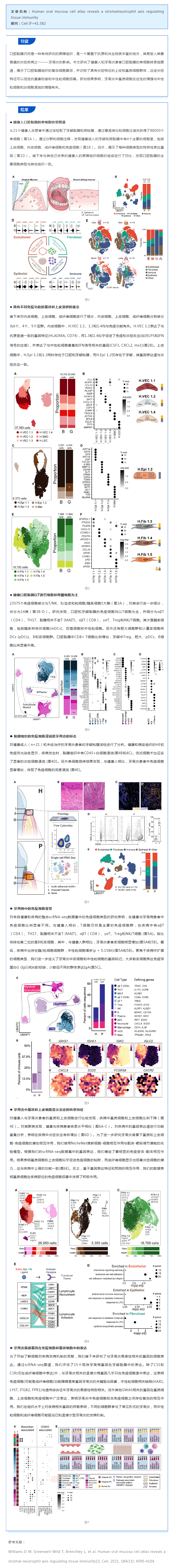 文獻(xiàn)解讀_單細(xì)胞測序揭示口腔黏膜單細(xì)胞圖譜及牙周炎發(fā)病機(jī)制