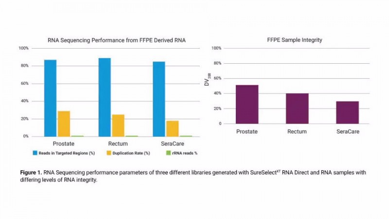 無論 RNA 質(zhì)量如何，均能獲得穩(wěn)定的基因表達(dá)結(jié)果
