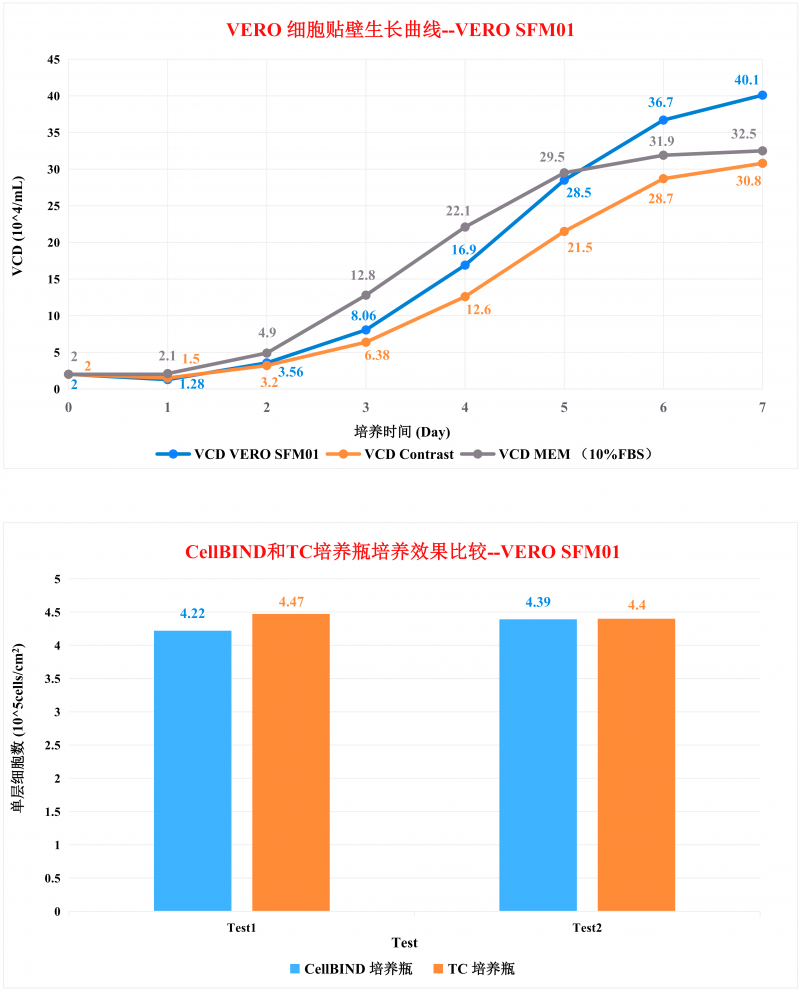 VERO SFM01 無血清培養(yǎng)基