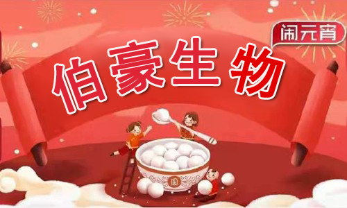 元宵節(jié)快樂(lè) | 伯豪生物鬧元宵“職”等你來(lái)
