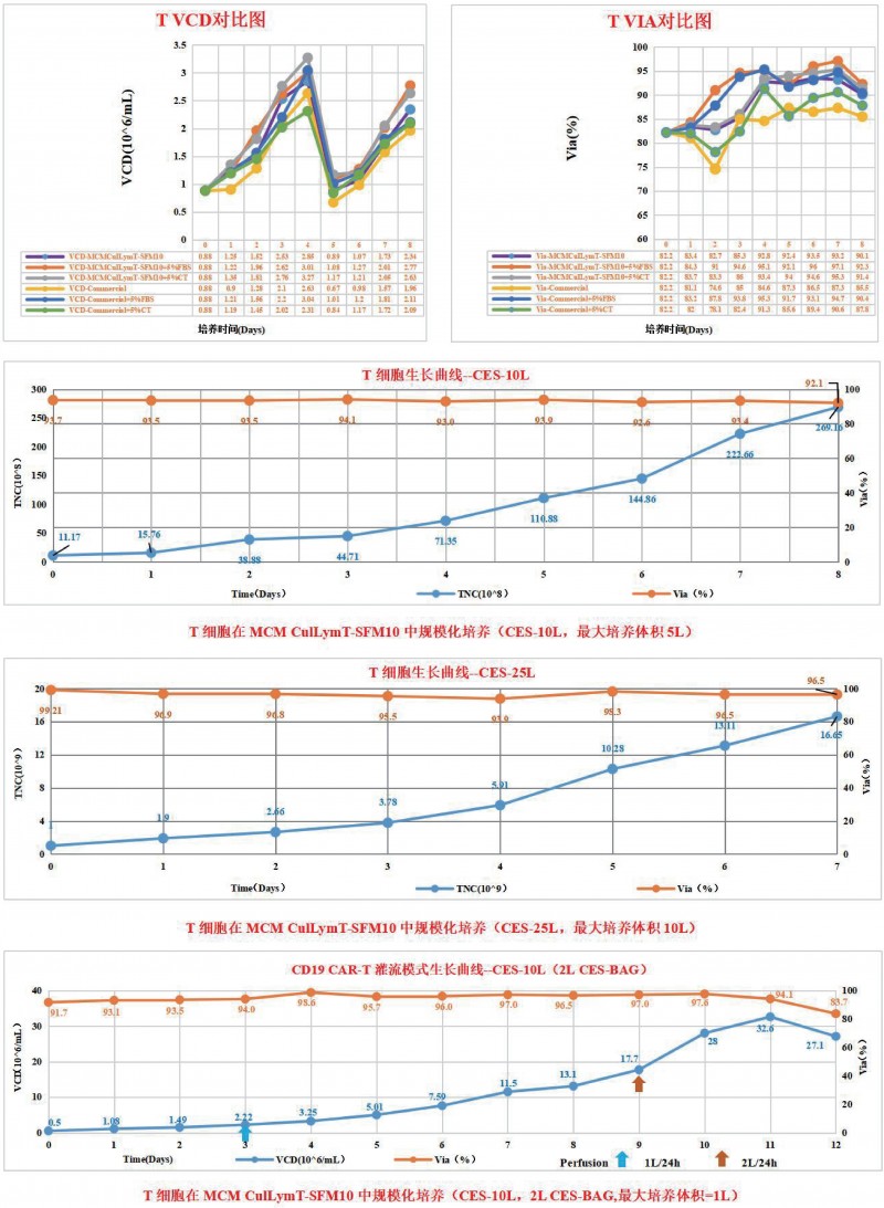 T 淋巴細(xì)胞無血清培養(yǎng)基產(chǎn)品性能
