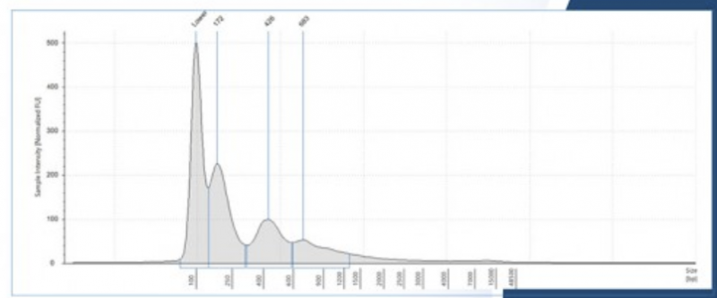 Agilent 4200 分析儀檢測(cè)結(jié)果圖