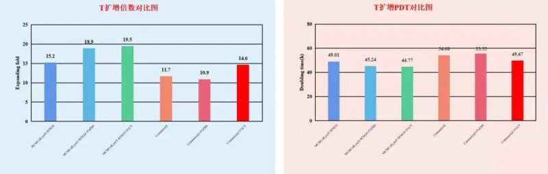 T 細(xì)胞在 MCMCulLymT-SFM10 中靜置培養(yǎng)效果對(duì)比