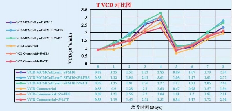 T 細(xì)胞在 MCMCulLymT-SFM10 中靜置培養(yǎng)效果