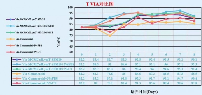 T 細(xì)胞在 MCMCulLymT-SFM10 中靜置培養(yǎng)效果 2