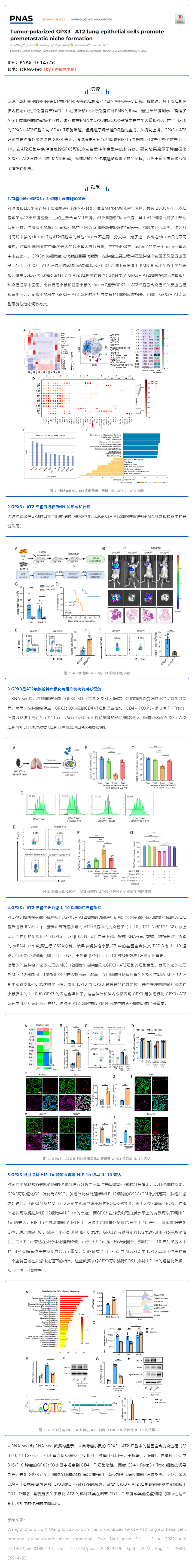 單細(xì)胞項目文章_腫瘤極化 GPX3+ AT2 肺上皮細(xì)胞促進轉(zhuǎn)移前生態(tài)位形成