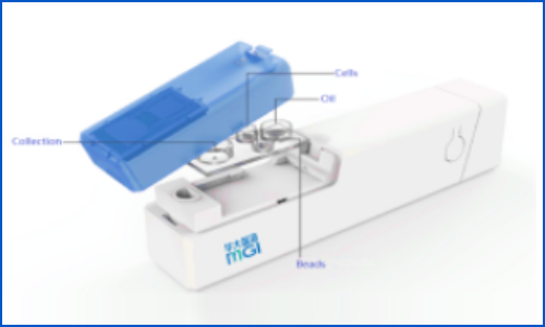 伯豪生物獲得 | 華大智造 DNBelab C 系列服務(wù)商認證，全力加速單細胞測序規(guī)?；芯?></a></div>
                        <div   id=
