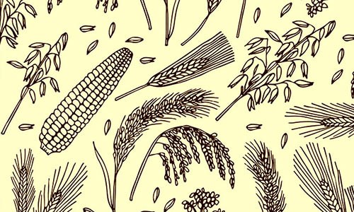 激勵(lì)計(jì)劃 | 農(nóng)學(xué)單細(xì)胞 & 空間研究——萬(wàn)元大獎(jiǎng)等你來(lái)！