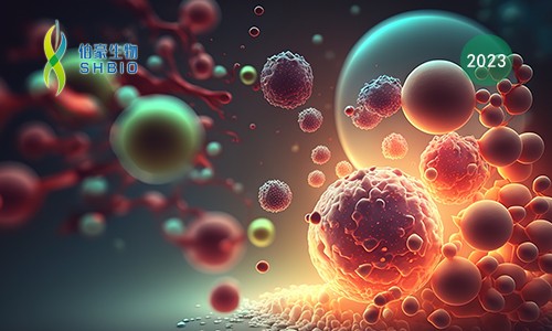 高分文獻(xiàn)一作分享會(huì) | 單細(xì)胞 & 蛋白質(zhì)組學(xué)技術(shù)在生物標(biāo)志物研究中的應(yīng)用進(jìn)展