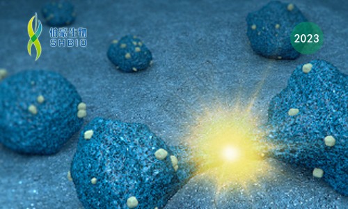 高分文獻(xiàn)一作分享會(huì) | 單細(xì)胞測序揭示腫瘤異質(zhì)性及腫瘤微環(huán)境特征