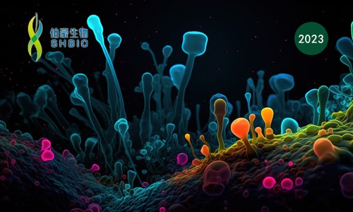 高分文獻(xiàn)一作分享會(huì) | 單細(xì)胞 & 蛋白質(zhì)組學(xué)技術(shù)在生物標(biāo)志物研究中的應(yīng)用進(jìn)展