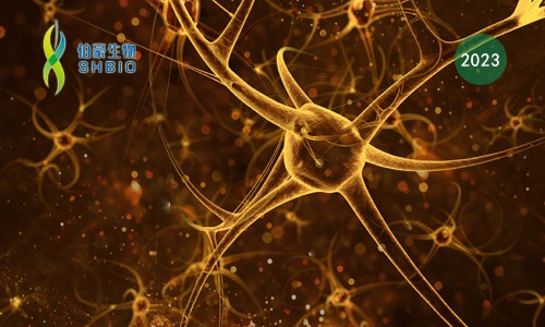 高分文獻(xiàn)一作分享會(huì) | 單細(xì)胞組學(xué)揭示樹突狀細(xì)胞遷移在炎癥和疾病中的作用和機(jī)制