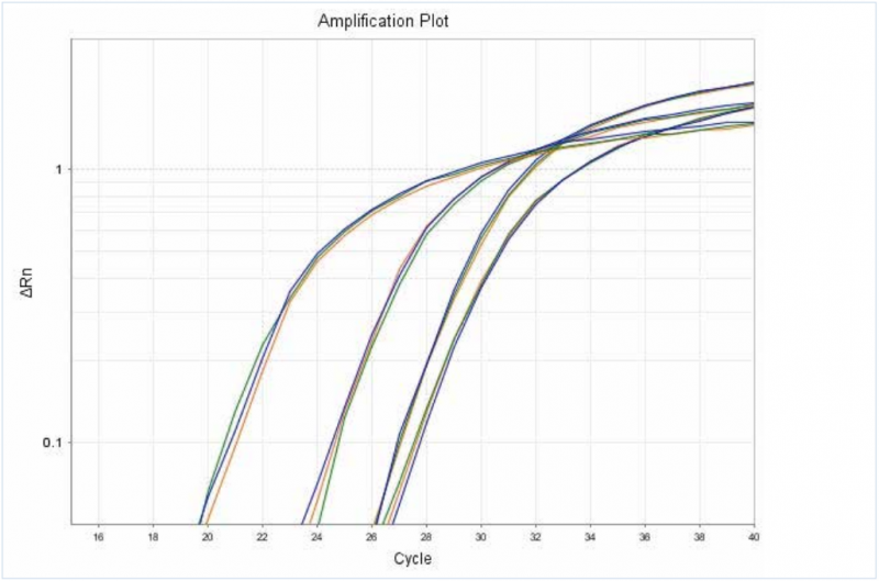 RNA 純度與質(zhì)量熒光定量 PCR 檢測