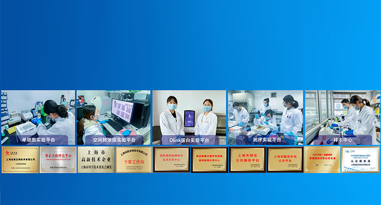 伯豪生物 服務(wù)科技創(chuàng)新，護(hù)航人類(lèi)健康！www.ukdirect.cn