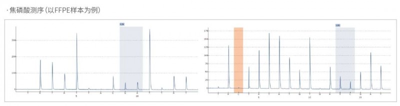 焦磷酸測(cè)序