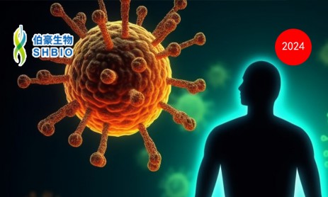 2024 豪享直播 | 時空組學(xué)技術(shù)在免疫機(jī)制研究中的應(yīng)用