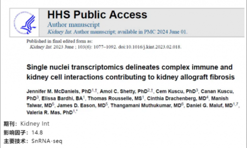 文獻解讀 | 單核轉(zhuǎn)錄組學(xué)描述了復(fù)雜的免疫和腎細(xì)胞相互作用對腎移植纖維化的影響