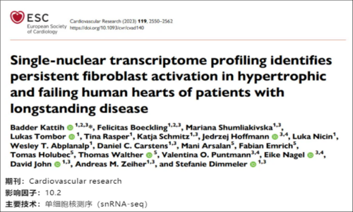 文獻解讀 | 單核轉(zhuǎn)錄組揭示長期肥厚和衰竭的人類心臟中成纖維細(xì)胞持續(xù)激活