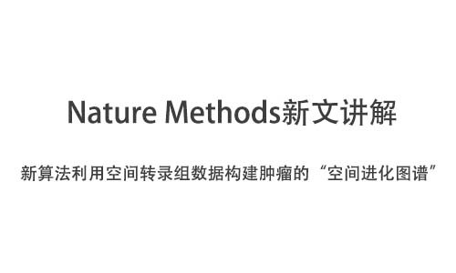 Nature Methods | 新算法利用空間轉(zhuǎn)錄組數(shù)據(jù)構(gòu)建腫瘤的“空間進(jìn)化圖譜”