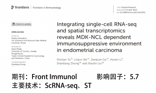 文獻解讀 | 整合 scRNA-seq 和 ST 揭示了子宮內(nèi)膜癌中 MDK-NCL 依賴的免疫抑制環(huán)境