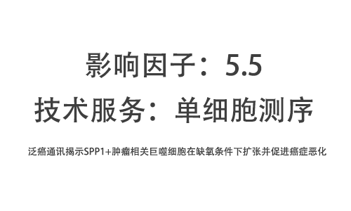 文獻解讀 | 泛癌通訊揭示 SPP1+ 腫瘤相關(guān)巨噬細胞在缺氧條件下擴張并促進癌癥惡化